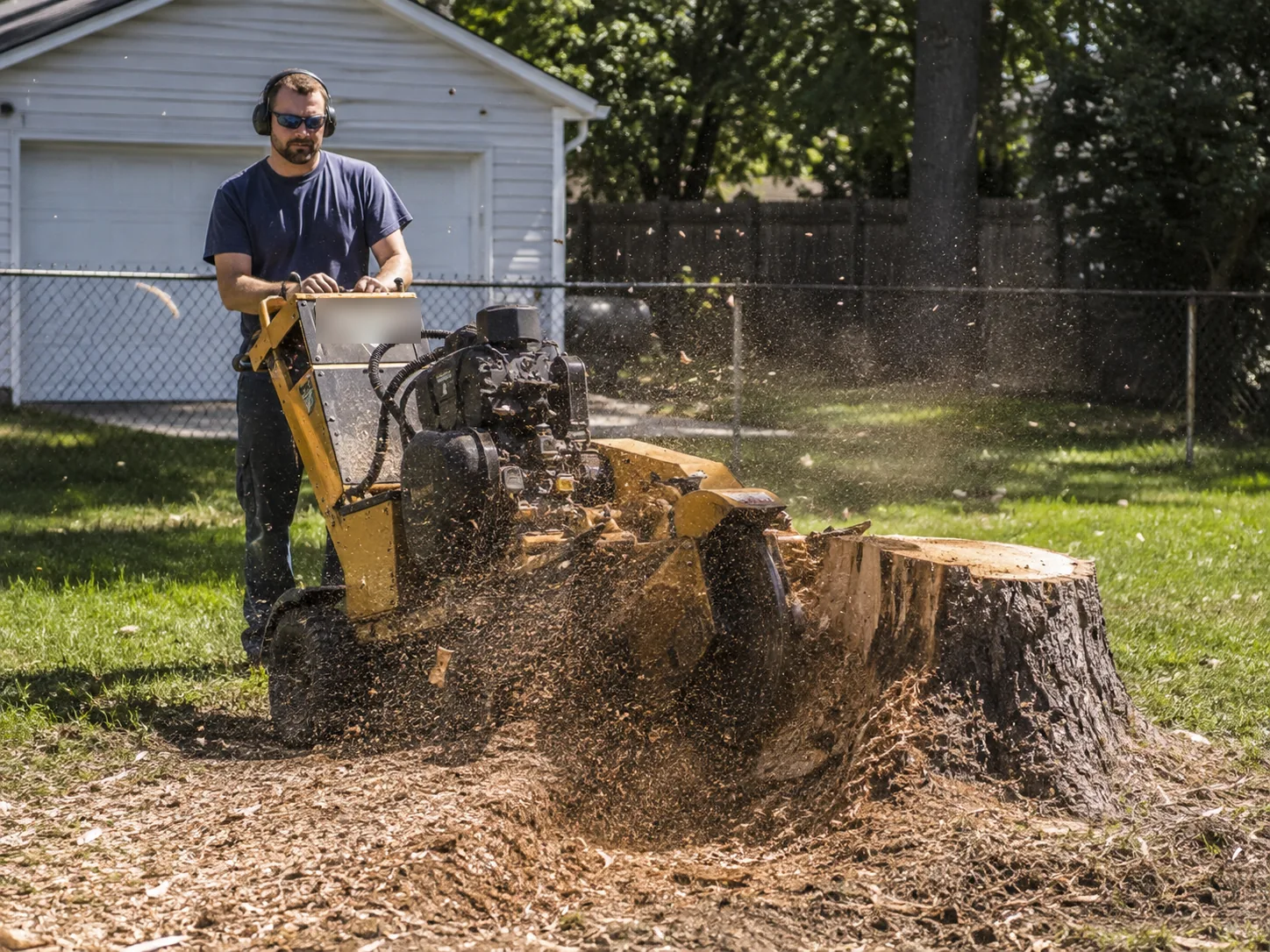 Operator running a walk-behind stump grinder on a large stump in a Greeley back yard